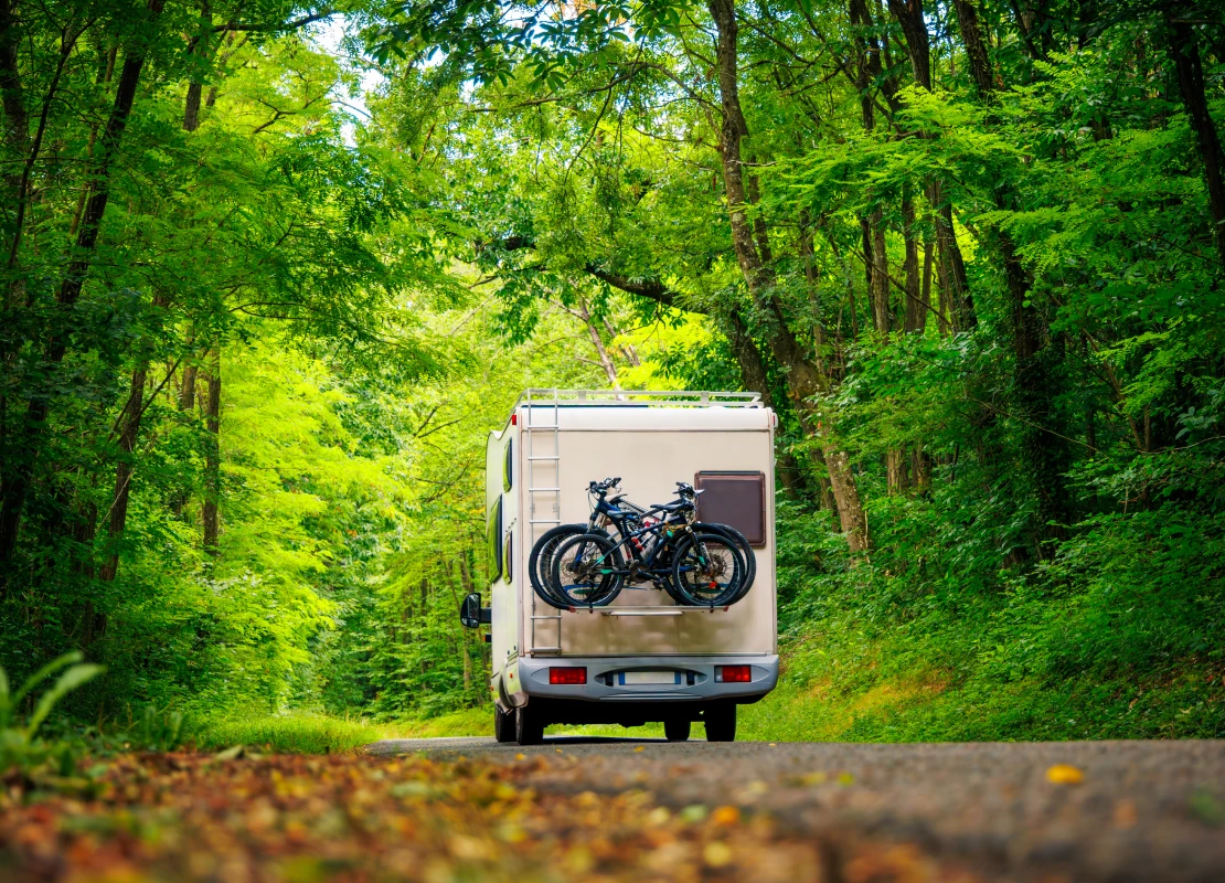 RV in the forest
